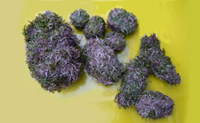 Moos-Einzelteile für gebastelten Moos-Osterhasen