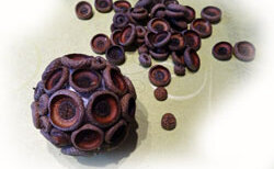 Beklebte Styroporkugel für gebastelten Weihnachtsschmuck aus Naturmaterialien