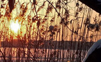 Sonnenuntergang im Winter
