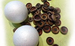 Material für gebastelten Weihnachtsschmuck aus Naturmaterialien