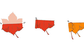 Faltanleitung Blattrosen