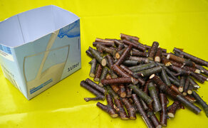 unterer Teil abgeschnitten vom Getränkekarton mit vielen kurzen Aststücken daneben