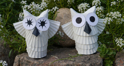 Gebastelte Eulen aus Toilettenpapierrollen