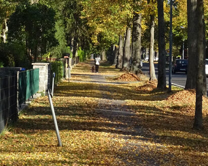 Straße mit Herbstlaub
