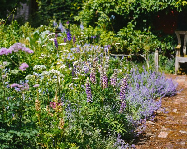 Umweltfreundliche Gartengestaltung: Üppige Blütenpracht im Garten mit bewachsenen Haus im Hintergrund
