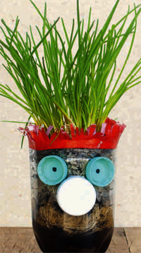 Gebastelter Kräutertopf