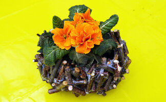 Getränkekarton mit Aststücken beklebt und mit gelber Primel bepflanzt