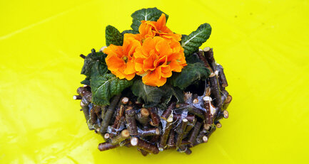 Getränkekarton mit Aststücken beklebt und mit gelber Primel bepflanzt