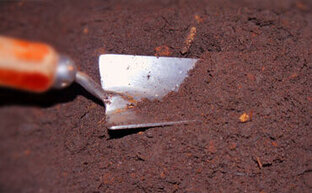 Kleine Pflanzschaufel mit Holzgriff in der Erde