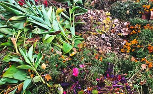 Gartenabfalle wie alte grüne und gelbe Pflanzen am Boden
