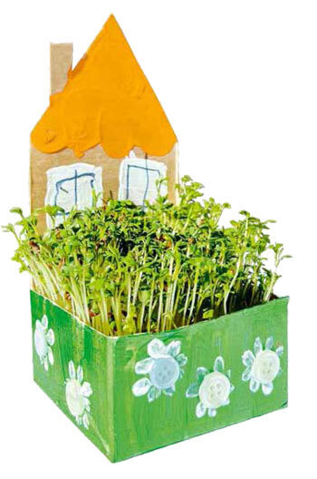 Gebasteltes Papphäuschen mit Kressegarten