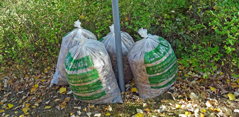 drei Laubsäcke stehen an einem Laternenpfahl