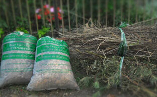 Laubsäcke und Grünschnitt gebündelt am Wegrand